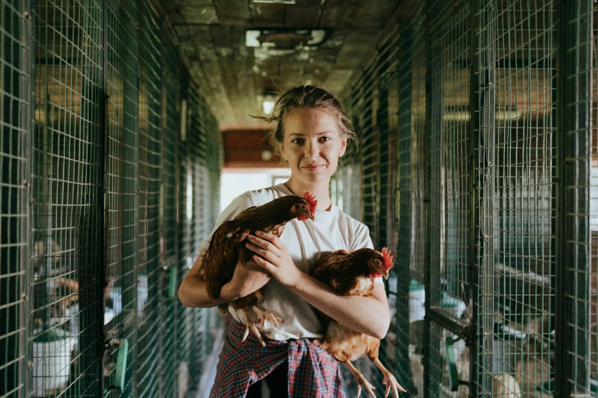 Femme agricultrice avec des poules